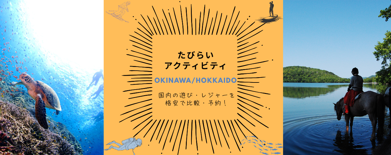 たびらい アクティビティ