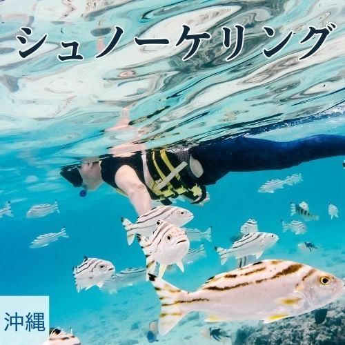 snorkeling_500x500