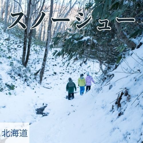 snowshoeing_500x500