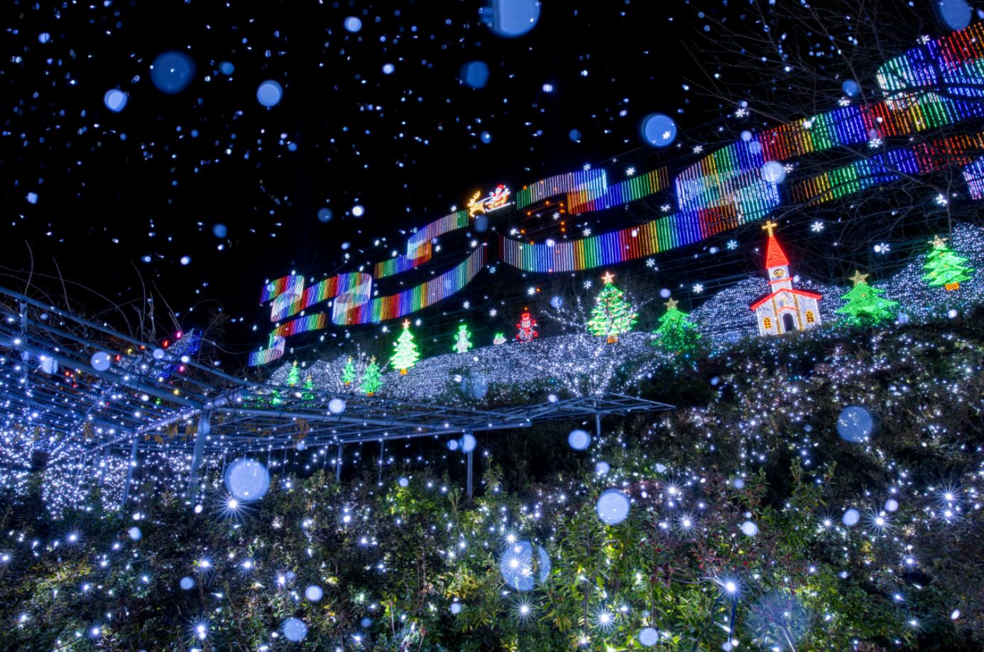 あしかがフラワーパーク(イメージ)