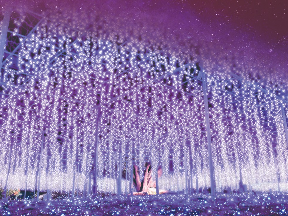 イルミネーション