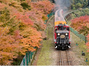トロッコ列車(イメージ)