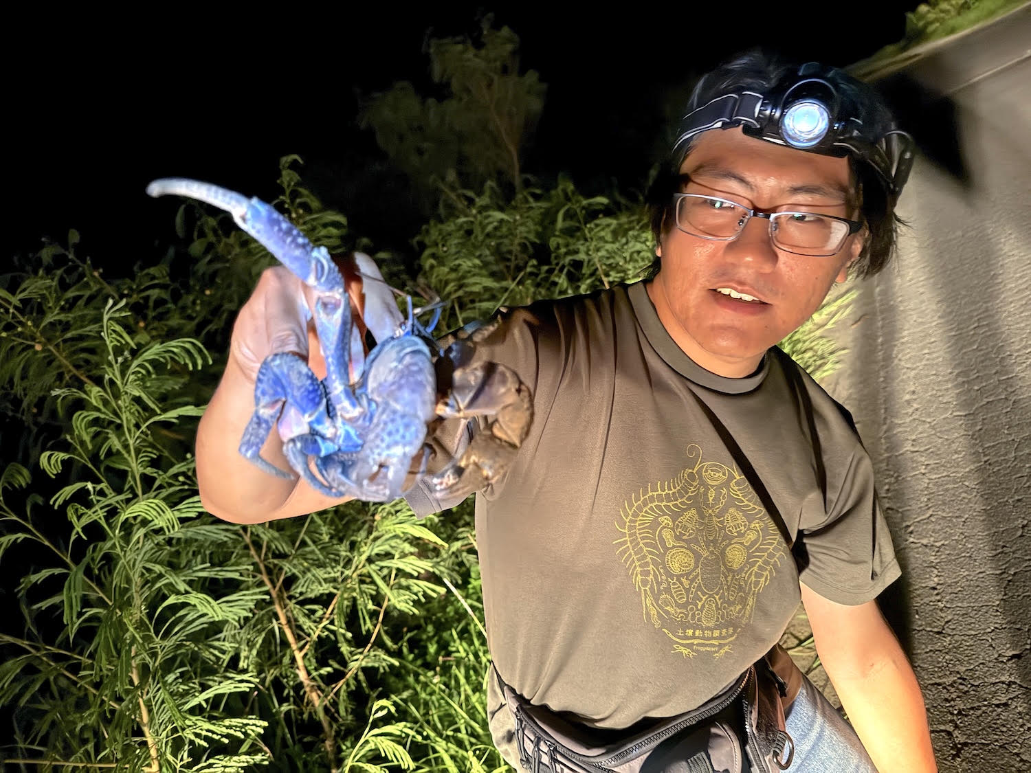 虫にぃにぃズ・次男